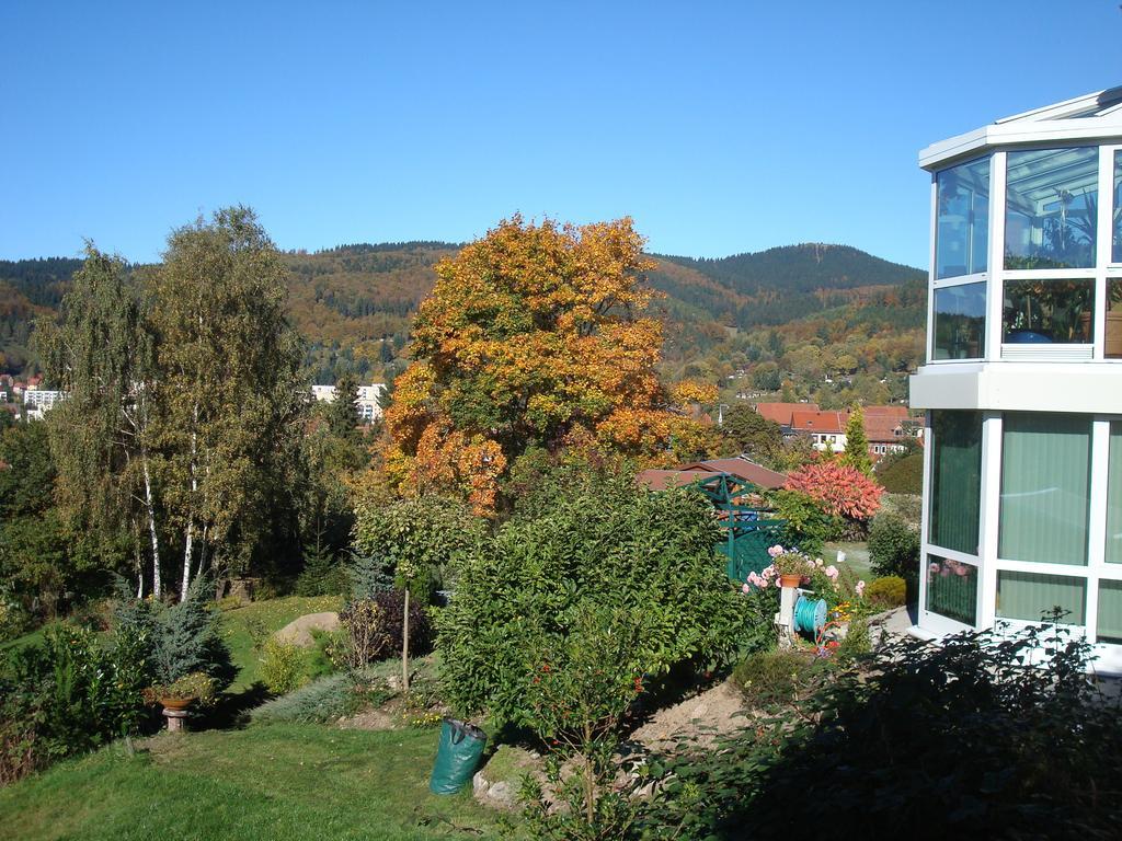 Ferienwohnung Bergblick Zella-Mehlis Cameră foto